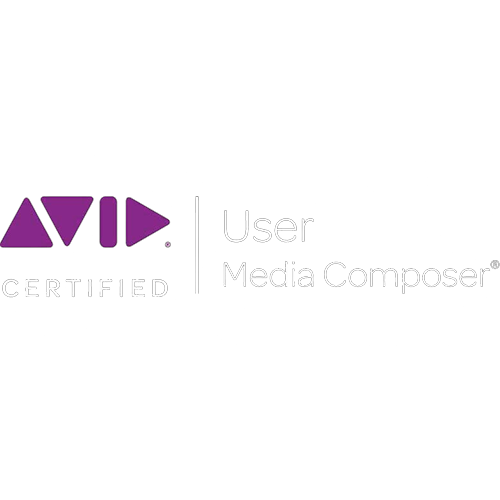 avid media composer user